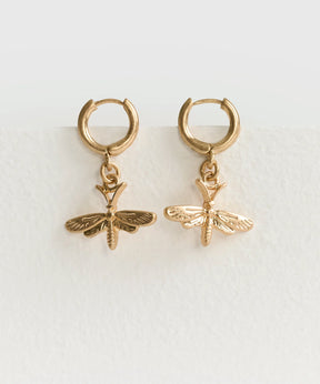 Aros Argolla Libélula