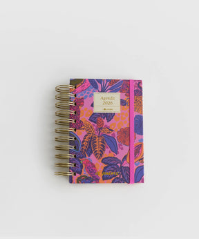 Agenda Pequeña 2026