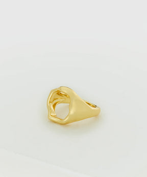Anillo Irregular
