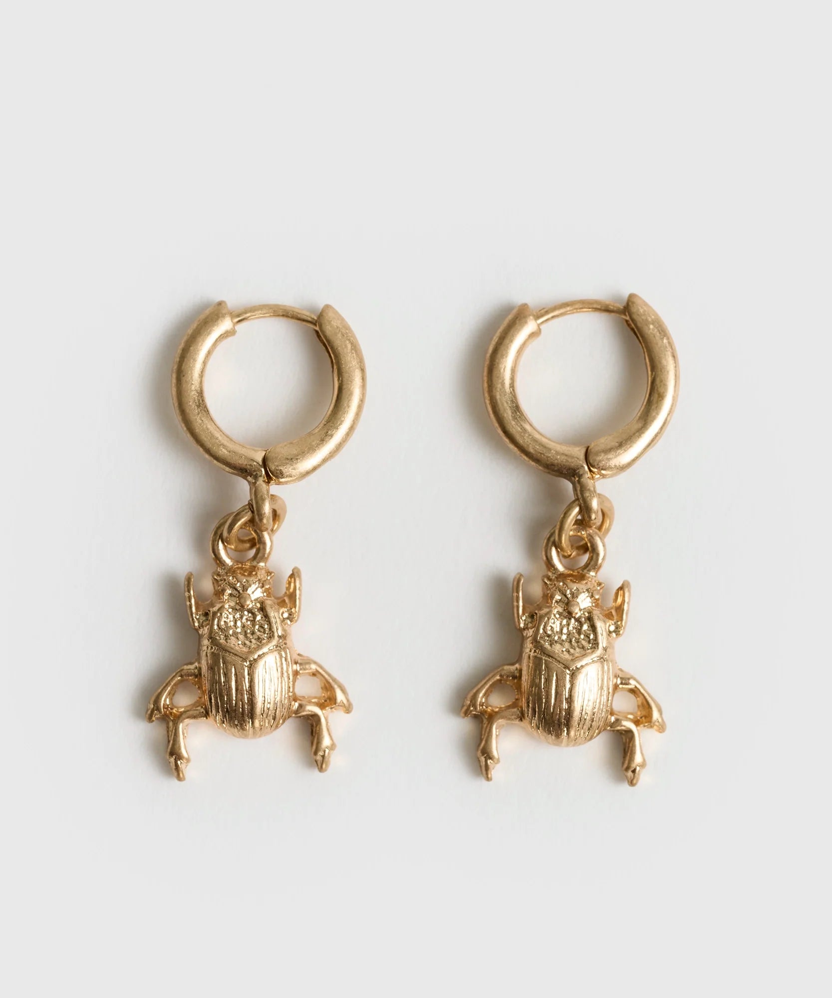 Aros Argolla Pequeña Escarabajo Insectos