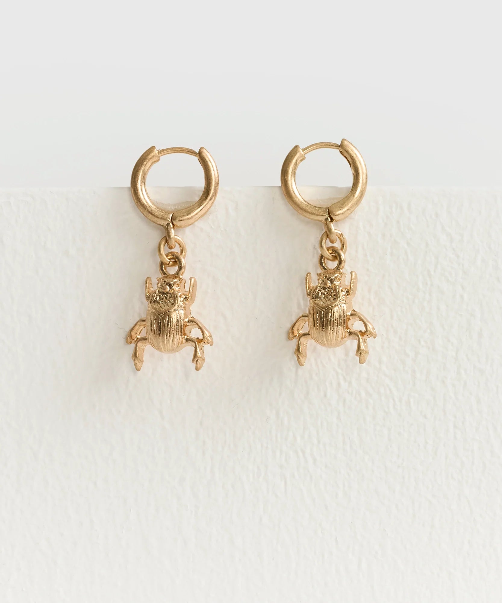 Aros Argolla Pequeña Escarabajo Insectos