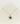 Collar Cadena Moneda Resina Woman