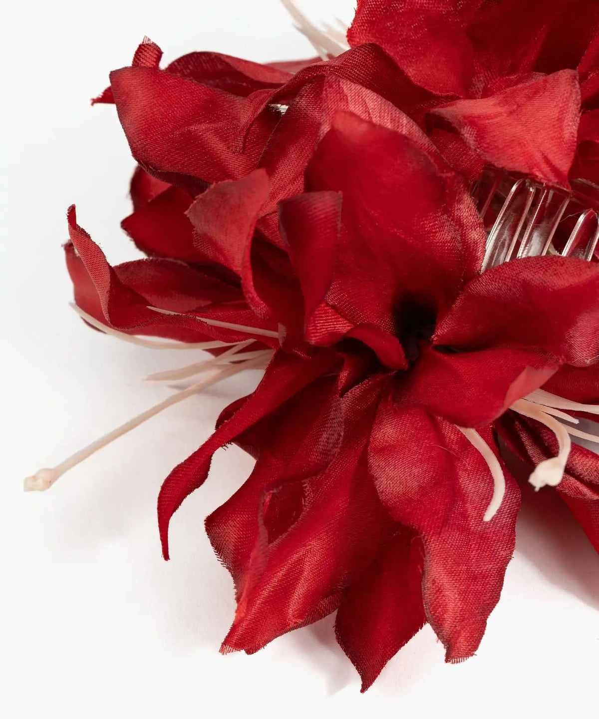 Pinche Flor Botanicals