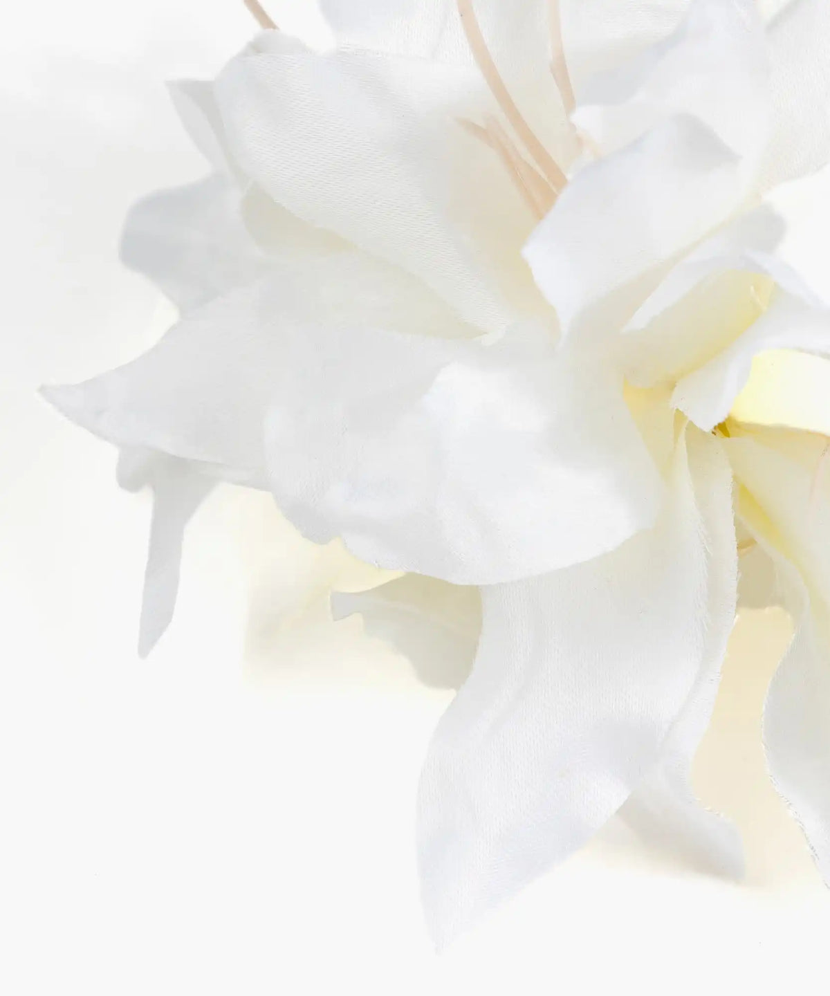 Pinche Flor Botanicals