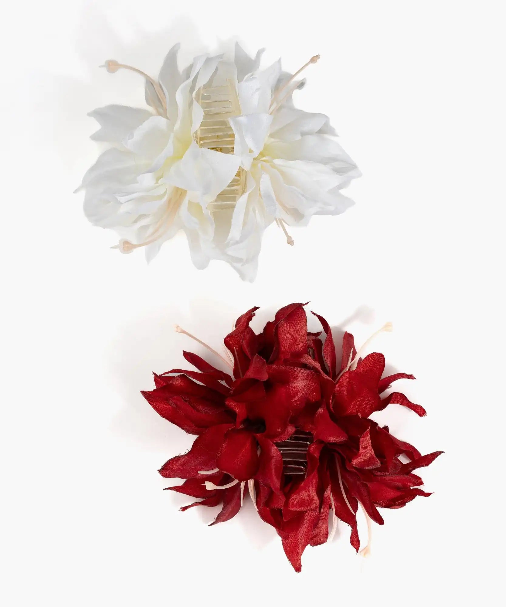 Pinche Flor Botanicals