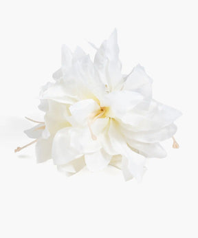 Pinche Flor Botanicals