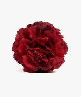 Pinche Flor Capas Botanicals