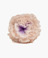 Pinche Flor Capas Botanicals