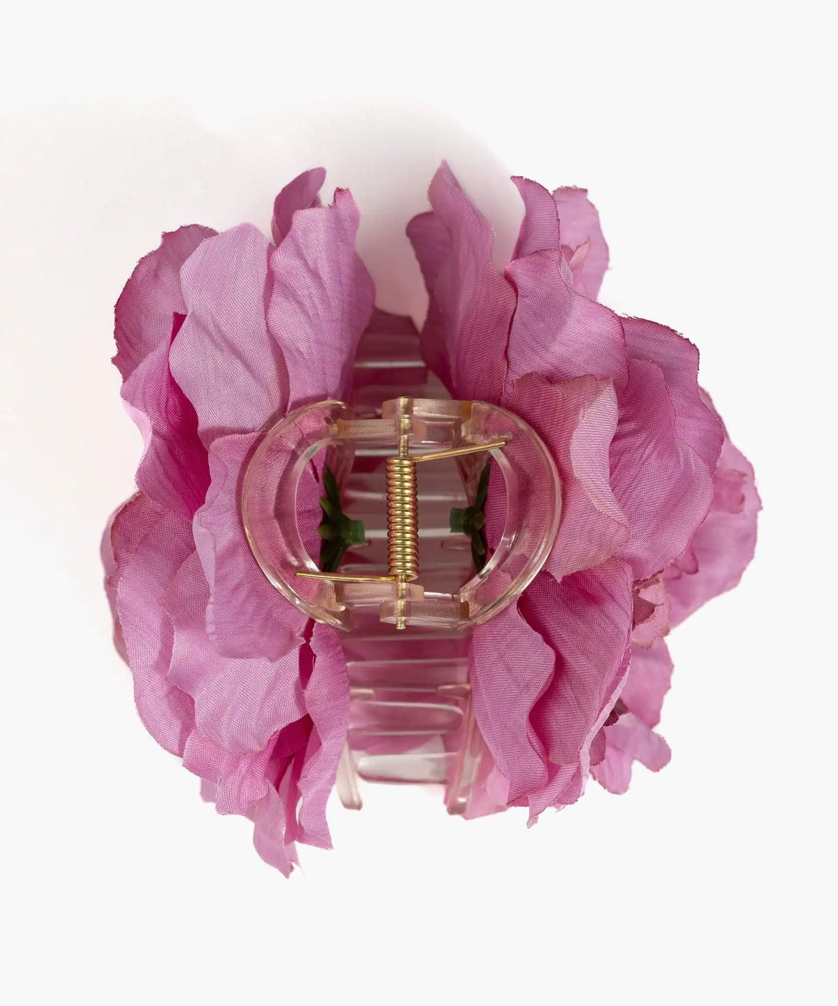 Pinche Flor Textura Botanicals