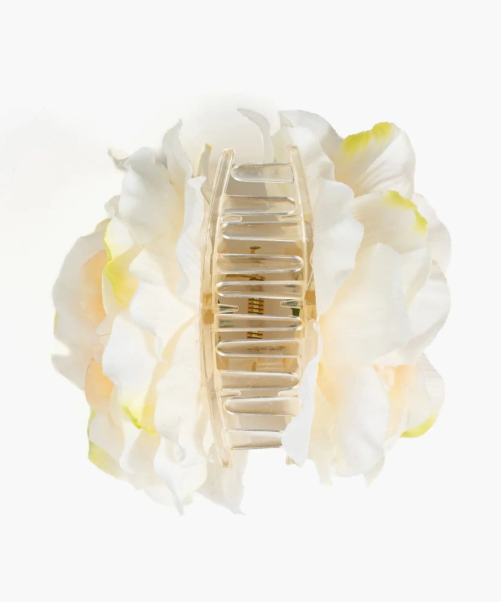 Pinche Flor Textura Botanicals