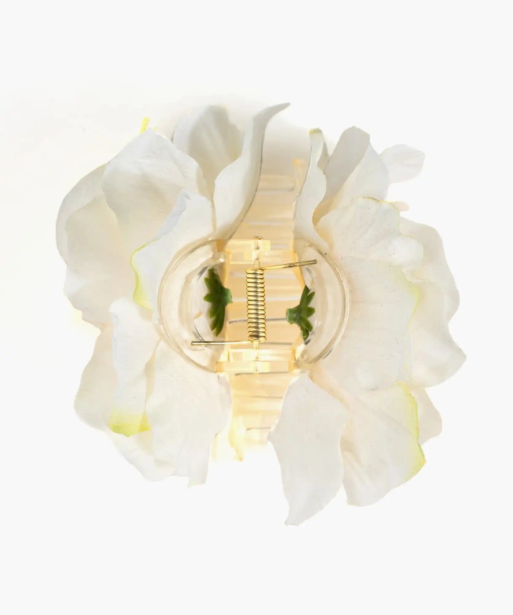 Pinche Flor Textura Botanicals