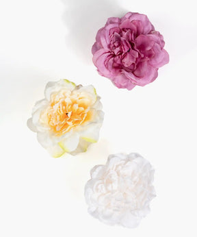 Pinche Flor Textura Botanicals