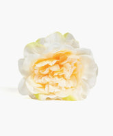 Pinche Flor Textura Botanicals