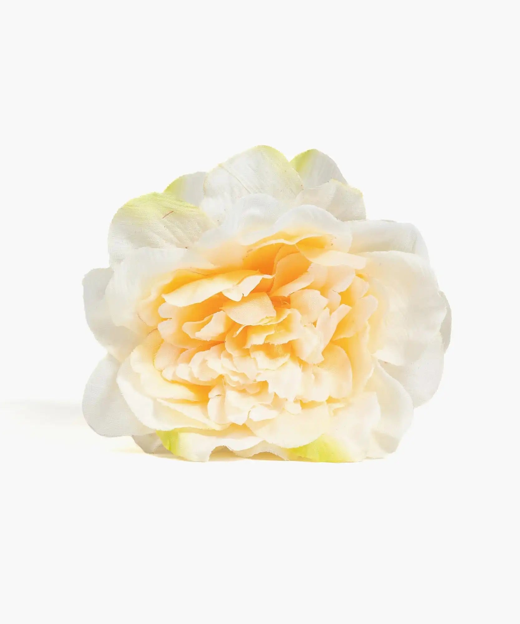 Pinche Flor Textura Botanicals