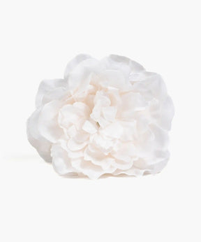 Pinche Flor Textura Botanicals