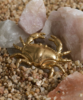 Prendedor Cangrejo Tesoros By @Mariaguldman