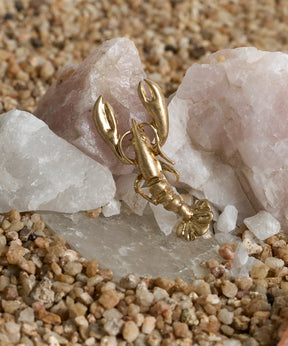 Prendedor Langosta Tesoros By @Mariaguldman