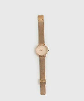 Reloj Correa Mesh