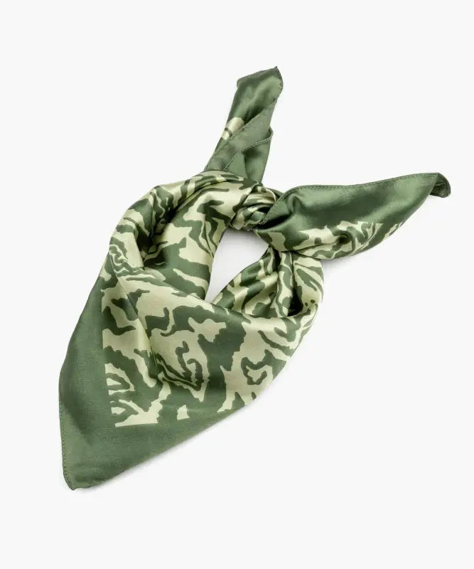 Bandana Zebra